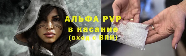 прущая мука Богданович